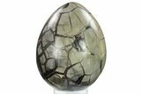 Bargain, Septarian Dragon Egg Geode - Black Crystals #134633-2